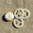 Loofahsvamp