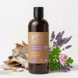 Bj�rkschampo f�r torrt & stressat h�r - med blommig doft - 500 ml