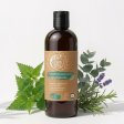 Br�nn�sselshampoo f�r fett h�r - med �rtdoft - 500 ml